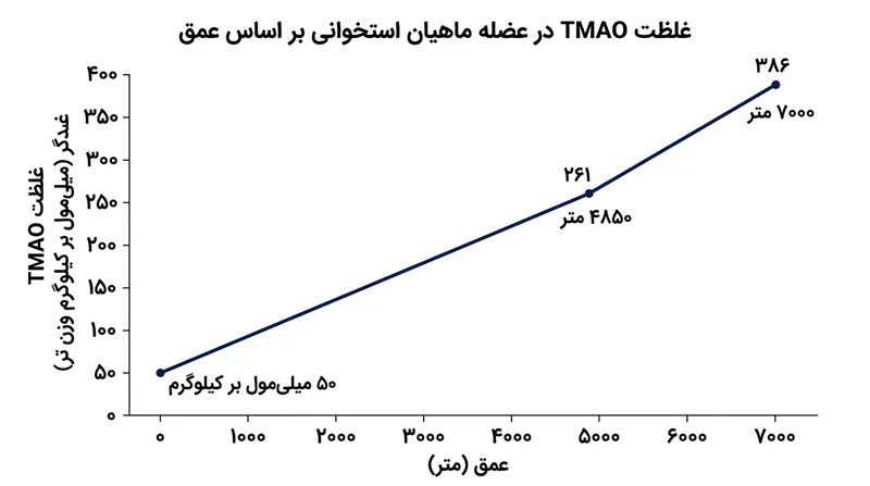 ماهیان استخوانی با ورود به اعماق بیشتر، غلظت بالاتری از مولکول محافظ شیمیایی TMAO را در بافت‌های خود ذخیره می‌کنند.