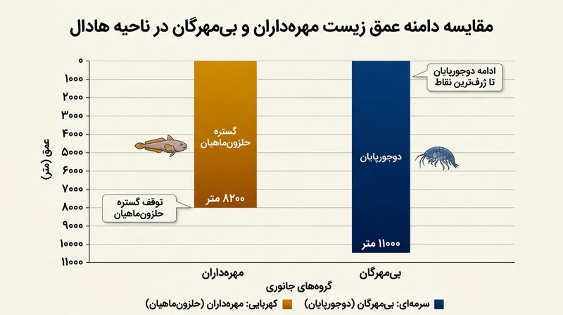 غیبت ماهیان در اعماق فراتر از ۸۴۰۰ متر، عمیق‌ترین بازه ۲۵۰۰ متری اقیانوس را به قلمرو انحصاری بی‌مهرگان لاشه‌خوار تبدیل کرده است.