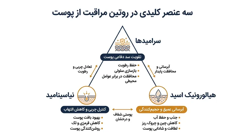 مثلث طلایی ترمیم پوست: سرامید، نیاسینامید و هیالورونیک اسید.