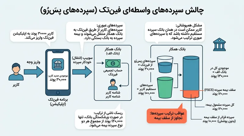 سازوکار هدایت پول توسط فین‌تک‌ها در صورت تلاقی با حساب‌های سنتی موجود می‌تواند ریسک سرمایه را به شکلی ناخواسته متمرکز کند.