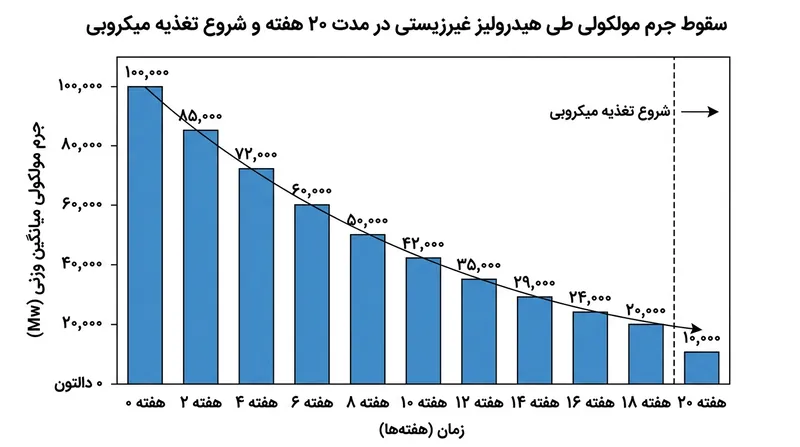 هیدرولیز غیرزیستی باید پیش از ورود میکروب‌ها، زنجیره‌های درشت مولکولی را خرد کند.
