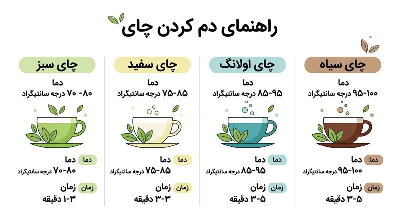 راهنمای دما و زمان ایده‌آل برای دم‌آوری انواع مختلف چای.
