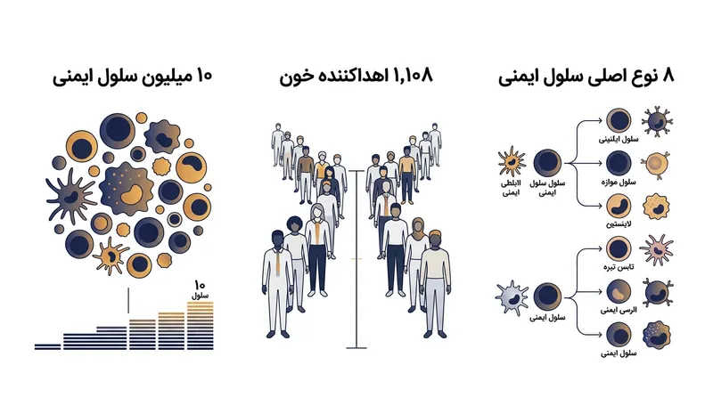 این مجموعه داده، تصویری در مقیاس جمعیتی از نحوه تنظیم سلول‌های ایمنی ارائه می‌دهد.