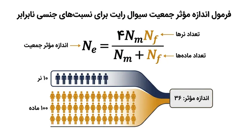 نابرابری در نسبت جنسیتی زادآوران، تنوع ژنتیکی جمعیت را در مجرای تعداد جنس کم‌تعدادتر محدود می‌کند.