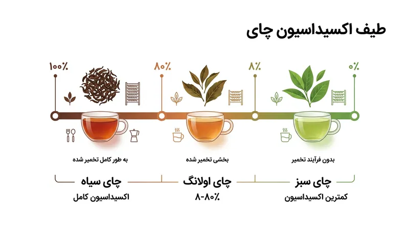 طیف اکسیداسیون چای: اولانگ با قرار گرفتن در میانه‌ی طیف، وسیع‌ترین تنوع طعمی را ارائه می‌دهد.
