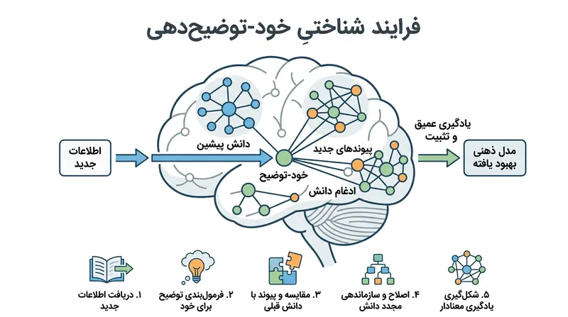 خودتوضیحی به مغز کمک می‌کند تا اطلاعات جدید را با دانش پیشین پیوند دهد.