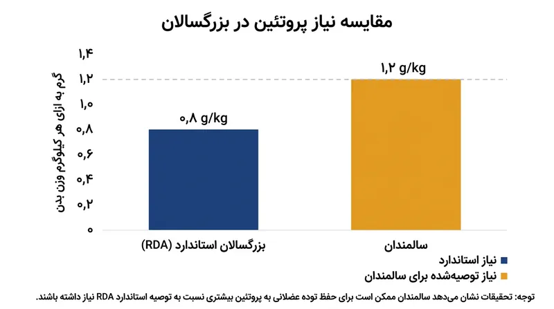سالمندان به دلیل مقاومت آنابولیک، به میزان پروتئین بسیار بیشتری نسبت به جوانان نیاز دارند.