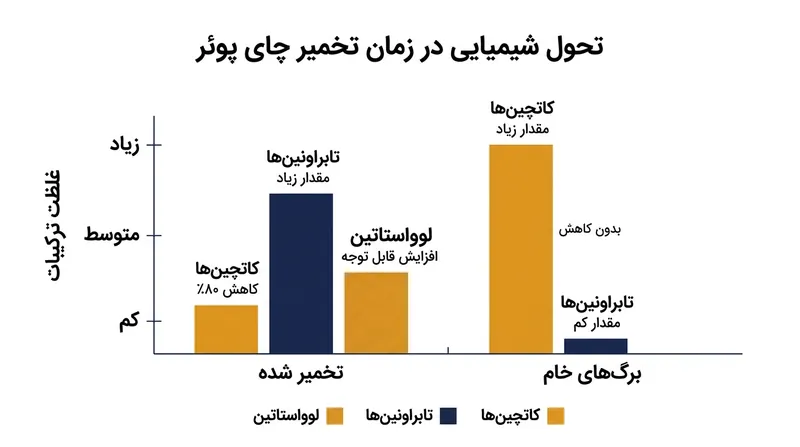 تغییرات شیمیایی برگ‌ها در طول تخمیر: کاهش شدید کاتچین‌های تلخ و افزایش تیابراونین‌ها که رنگ تیره و بافت مخملی ایجاد می‌کنند.