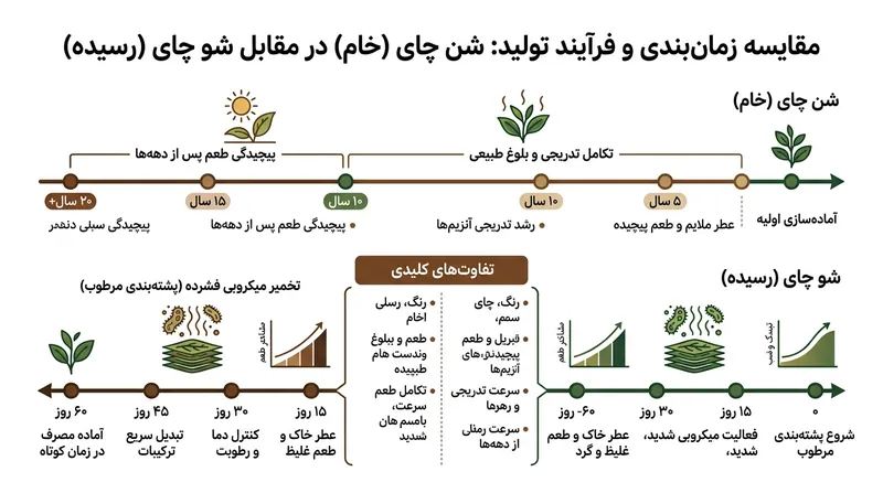 تفاوت مسیر تولید پوئر خام (شنگ) که دهه‌ها زمان می‌برد، در برابر پوئر پخته (شو) که در کمتر از دو ماه تخمیر می‌شود.