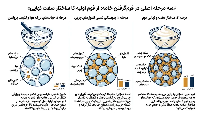 با پیشرفت هم‌زدن، گلبول‌های چربی جایگزین پروتئین‌های شیر می‌شوند تا زرهی مستحکم گرد حباب‌های هوا بسازند.