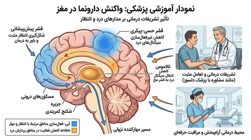 پیوند زدن امنیت شغلی مدرسان به نظرسنجی‌های رضایت دانشجو، انگیزه‌ای ساختاری برای افت استانداردهای آموزشی ایجاد می‌کند.