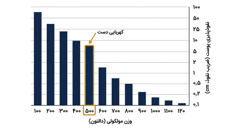 سایش‌های معمول روزمره هر ماه نزدیک به ۲ تا ۳ میکرون از نیل را می‌تراشند تا سرانجام مغز سفید پنبه هویدا شود.