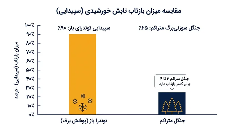 سطح باز و پوشیده از برف تا ۹۰ درصد تابش فرودی خورشید را بازمی‌تاباند، در حالی که جنگل‌های متراکم سوزنی‌برگ بخش اعظم این انرژی را جذب می‌کنند.