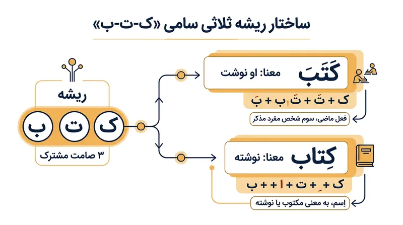 در خانواده زبان‌های سامی، سه حرف صامت گوهر معنایی واژه را شکل می‌دهند و نگارش حروف صدادار از منظر دستوری زاید است.