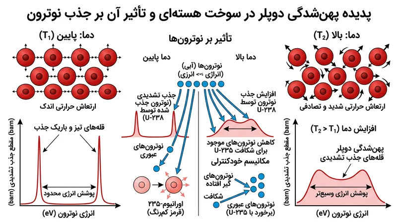 نحوه جذب نوترون‌های مازاد توسط اورانیوم ۲۳۸ در پی پهن‌شدگی دوپلر.
