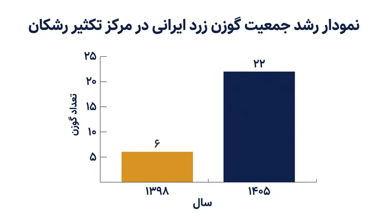 روند رشد جمعیت گوزن زرد ایرانی در سایت رشکان از سال ۱۳۹۸ تا ۱۴۰۵.