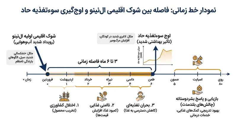 جدول زمانی نشان‌دهنده فرصت محدود برای اقدامات پیش‌دستانه پیش از اوج‌گیری نرخ سوءتغذیه است.