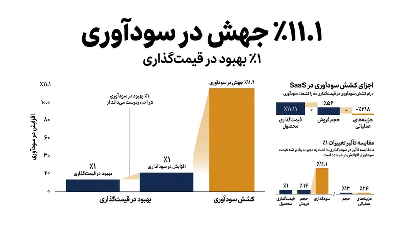 بهینه‌سازی قیمت‌گذاری همچنان موثرترین اهرم مالی در بهبود سودآوری شرکت‌های نرم‌افزاری است.