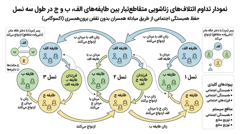 ازدواج متقاطع نامتقارن، چرخه‌ای پیوسته از دادوستد را شکل می‌دهد که چندین دودمان را به هم پیوند می‌زند.