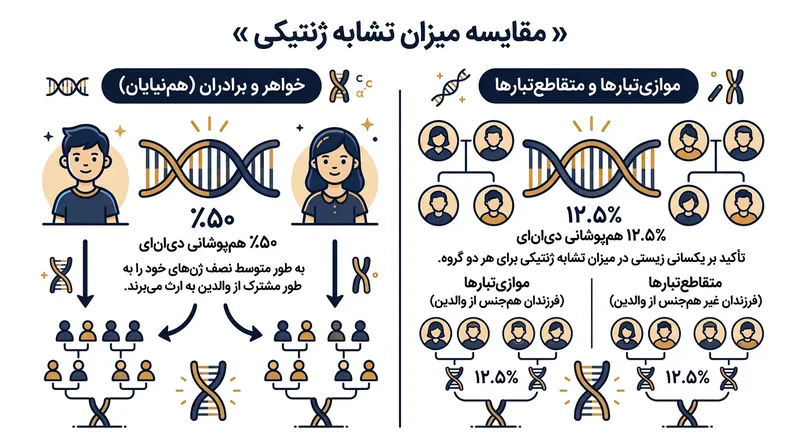 با وجود برخورد متناقض فرهنگ‌ها، نسبت ژنتیکی همه این خویشاوندان بر روی کاغذ مو نمی‌زند.