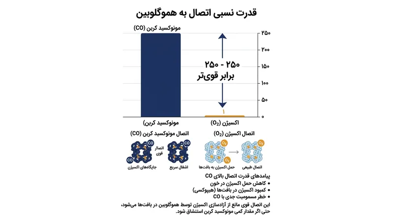 مونوکسید کربن با قدرتی بیش از ۲۰۰ برابر اکسیژن به گلبول‌های قرمز خون متصل می‌شود.