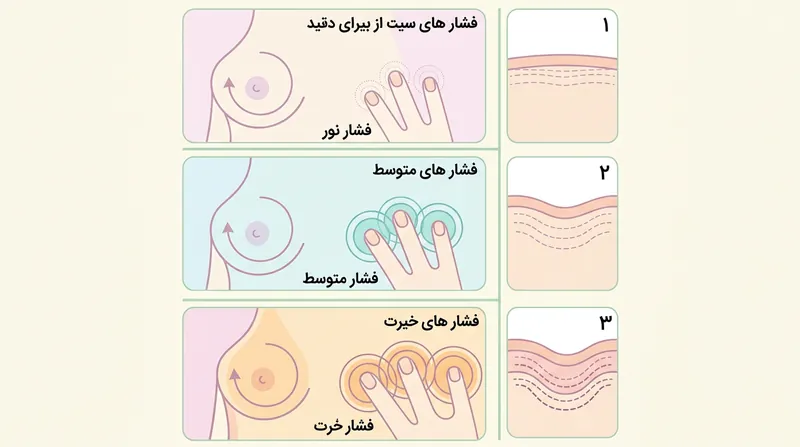 تکنیک صحیح لمس در خودآزمایی: استفاده از سه سطح فشار برای بررسی تمام لایه‌های بافت.