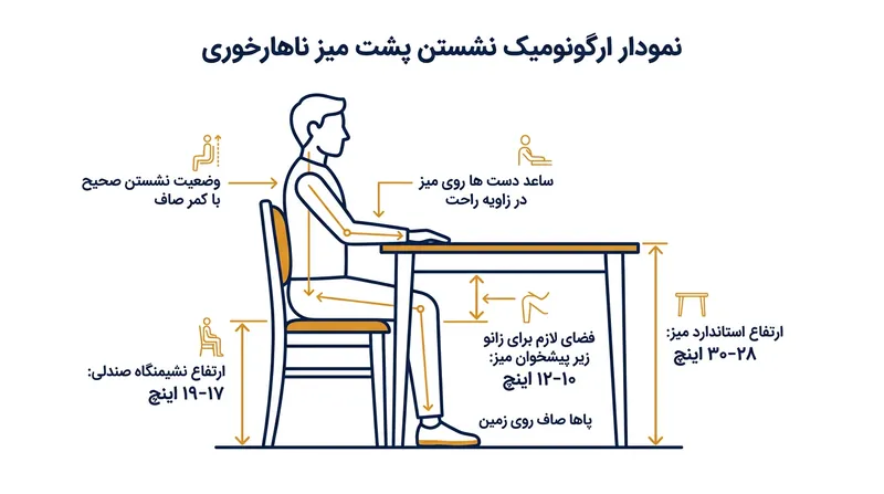ابعاد استاندارد ارگونومیک برای میز ناهارخوری؛ رعایت فاصله مناسب بین نشیمن صندلی و لبه میز برای راحتی زانوها ضروری است.