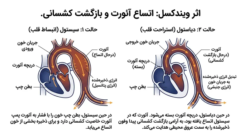 استاندارد ISO 16 فرکانس کوک کنسرت را ۴۴۰ هرتز تعیین کرده است، گرچه برخی ارکسترها روی فرکانس‌های کمی بالاتر کوک می‌کنند.