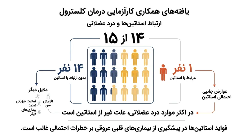 تحلیل تلفیقی روی ۱۵۵ هزار بیمار تایید کرد که اکثریت قریب به اتفاق دردهای عضلانی در مصرف‌کنندگان استاتین، بدون مصرف این دارو نیز رخ می‌دادند.
