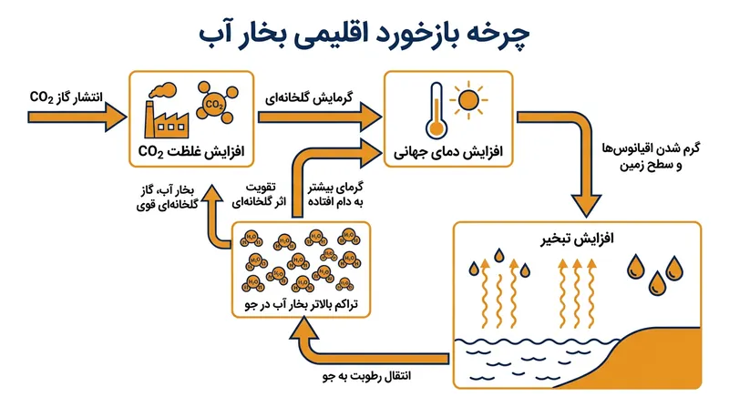 کربن دی‌اکسید به عنوان پیشران اولیه عمل می‌کند و بخار آب در قالب چرخه بازخورد این گرمایش را دوچندان می‌سازد.