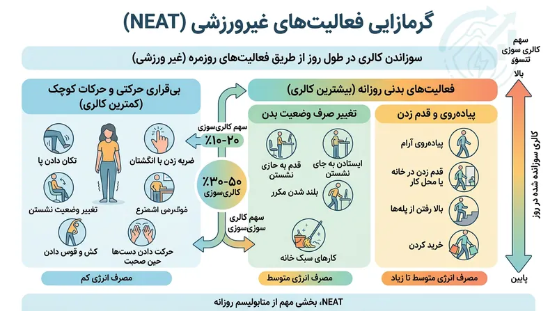 حرکات پیش‌برنده مانند پیاده‌روی تفاوت اصلی مصرف کالری را میان افراد کم‌تحرک و فعال رقم می‌زنند.