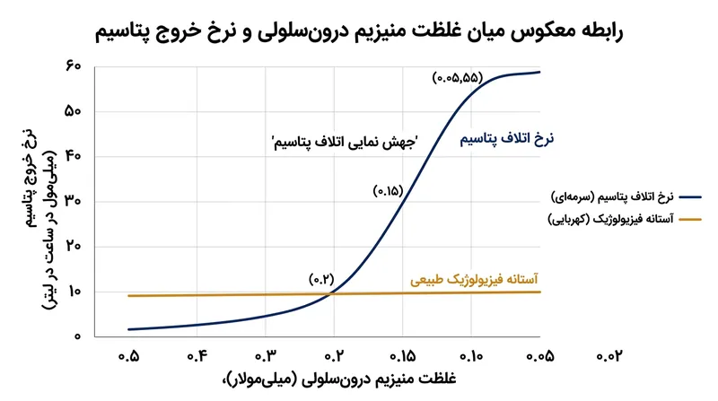با کاهش منیزیم درون‌سلولی به زیر آستانه ۰.۲ میلی‌مول، اتلاف پتاسیم با شتابی تصاعدی افزایش می‌یابد.
