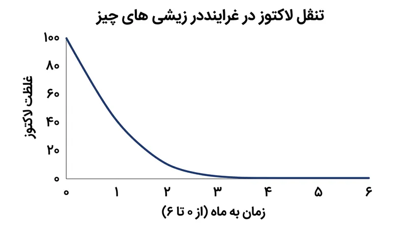 باکتری‌های اسید لاکتیک لاکتوز باقی‌مانده را به سرعت مصرف کرده و طی ماه‌های نخست کهنه‌سازی، آن را تماماً به اسید لاکتیک تبدیل می‌کنند.