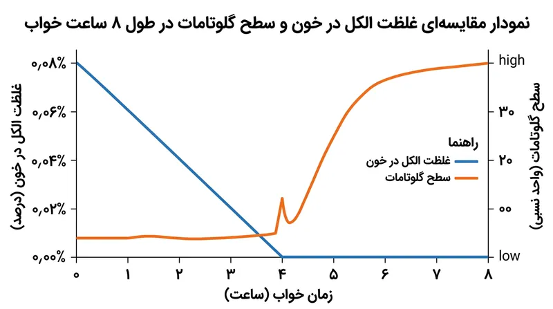 طغیان گلوتامات دقیقاً در لحظه‌ای آغاز می‌شود که کبد پاکسازی کامل الکل از جریان خون را به پایان می‌رساند.