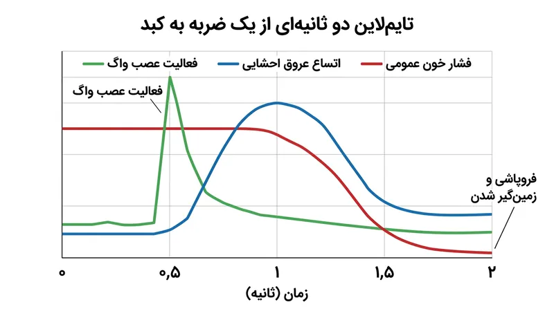 با انبساط پیوسته فضا، طول موج پرتوهای کهن دچار کشش فیزیکی می‌شود، از مرز طیف مرئی عبور کرده و انرژی‌شان تقلیل می‌یابد.