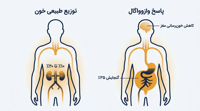 اتساع عروق احشایی باعث تجمع خون در شکم شده و فشار خون بخش‌های فوقانی بدن را به سرعت تخلیه می‌کند.