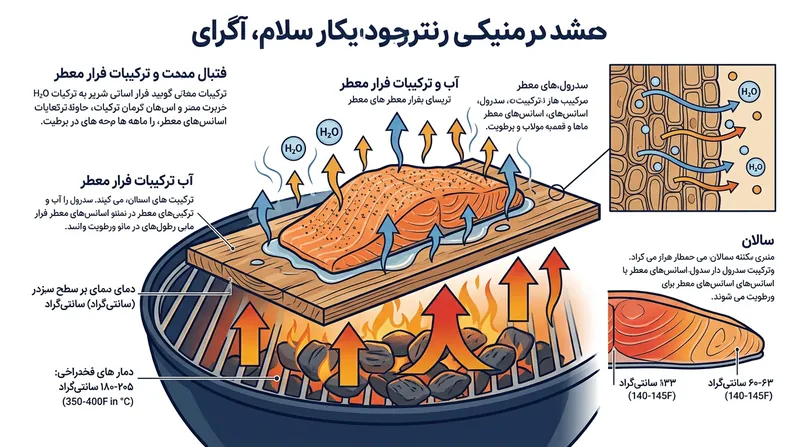 مکانیسم انتقال حرارت و نفوذ ترکیبات معطر در پخت با تخته سدر.