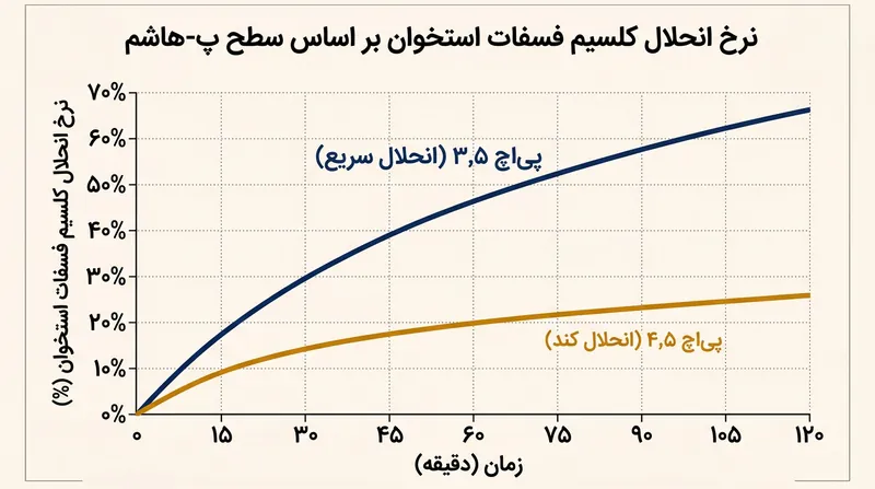 اسیدیته شدید باتلاق پیت سرعت استخراج ساختار معدنی استخوان به درون آب پیرامون را کنترل می‌کند.