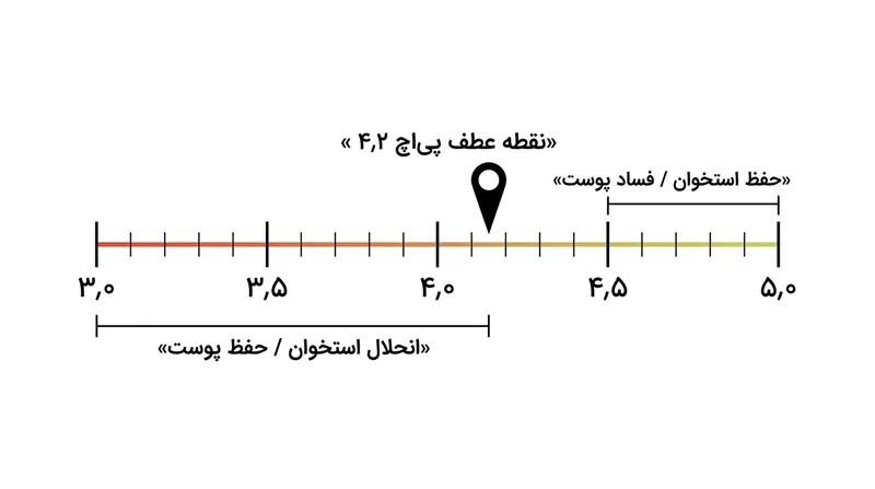 سالم ماندن جسد باتلاقیِ کلاسیک بدون اسکلت، به پنجره بسیار حساسی از تغییرات پی‌اچ وابسته است.