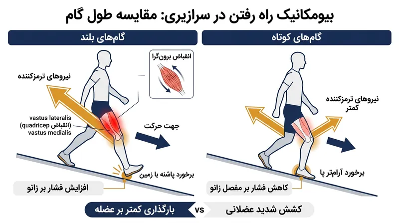 مقایسه بیومکانیکی طول گام بلند و کوتاه و تاثیر آن بر انقباض برون‌گرای عضلات چهارسر ران.