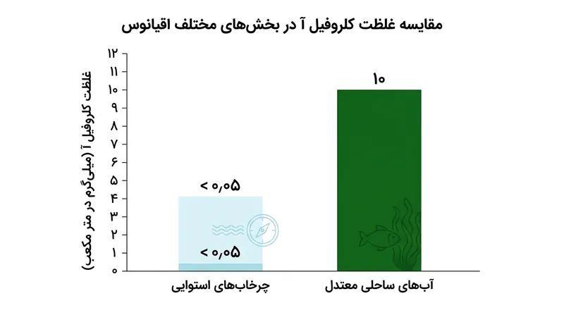 آب‌های سطحی مدار استوا تنها بخشی بسیار ناچیز از کلروفیلی را دارند که در آب‌های ساحلی مناطق معتدل به چشم می‌خورد.
