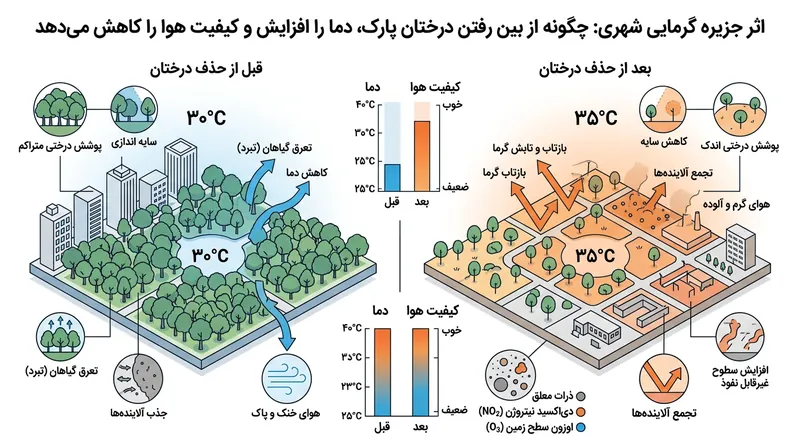 نقش پوشش گیاهی متراکم در کاهش اثر جزیره گرمایی و تصفیه هوای کلان‌شهرها.