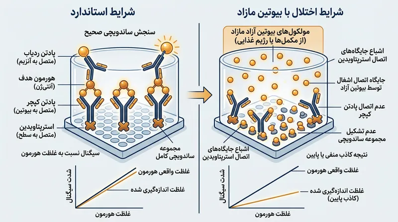 بیوتین اضافی ناشی از مکمل‌ها جایگاه‌های پیوند را اشباع کرده و در آزمایش‌های ساندویچی نتایج را به‌طور کاذب پایین نشان می‌دهد.