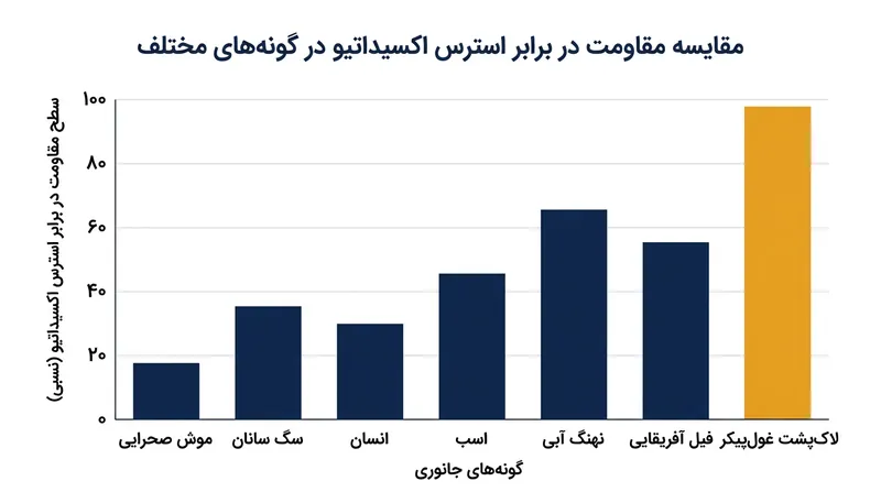سلول‌های لاک‌پشت‌های غول‌پیکر در مقایسه با پستانداران، مقاومت بسیار بالاتری در برابر استرس اکسیداتیو نشان می‌دهند.