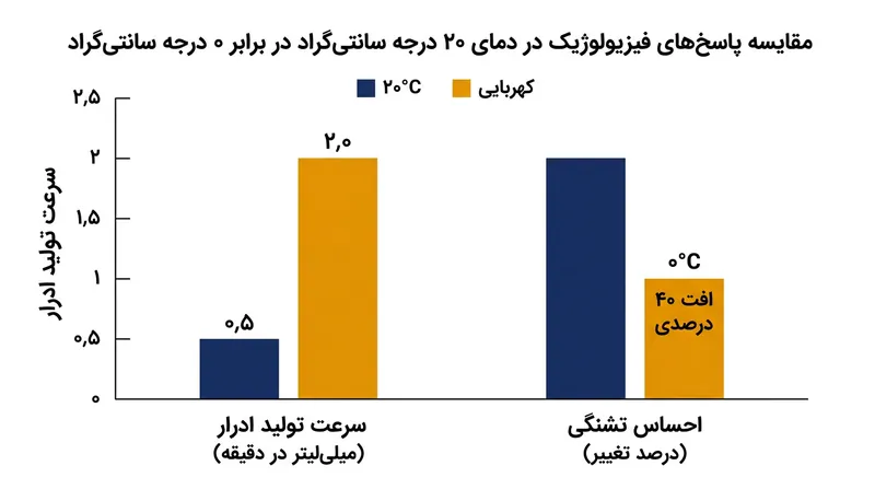 مواجهه با سرما سرعت دفع مایعات را چهار برابر می‌کند و هم‌زمان تمایل به نوشیدن را تا ۴۰ درصد می‌کاهد.