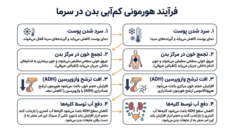 مغز تجمع خون در مرکز را اضافه بار مایعات تلقی کرده و ترشح هورمون نگه‌دارنده آب را قطع می‌کند.