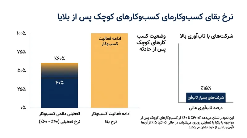 آمار هشداردهنده از نرخ شکست کسب‌وکارها در غیاب سیستم‌های تاب‌آوری.