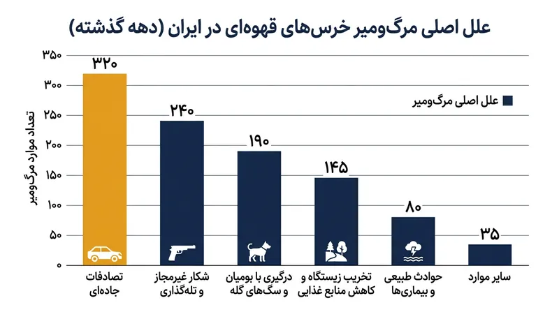 تلفات جاده‌ای یکی از عوامل اصلی کاهش جمعیت خرس قهوه‌ای در ایران به شمار می‌رود.