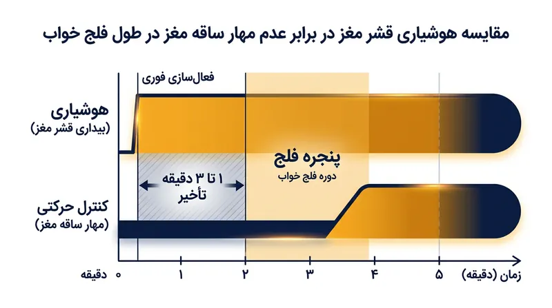 بازه فلج بر پایه تاخیر مکانیکی مورد نیاز برای پاکسازی انتقال‌دهنده‌های مهاری از شکاف سیناپسی معین می‌شود.
