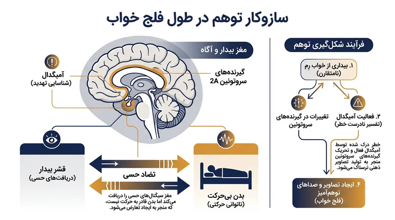 تضاد حسی میان ذهن بیدار و بدن فلج‌شده با تحریک آمیگدال، وحشت شدید و توهمات ذهنی را دامن می‌زند.